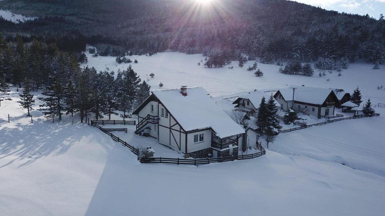 Vila Jela Tornik Златибор Екстериор снимка